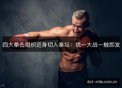 四大拳击组织近身切入拳坛：统一大战一触即发